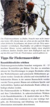 Faltblatt 'Fledermäuse im Wald' (Seite 5)